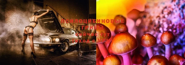 jwh Нефтекумск