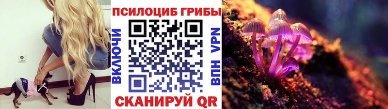 Псилоцибиновые грибы мухоморы Динская